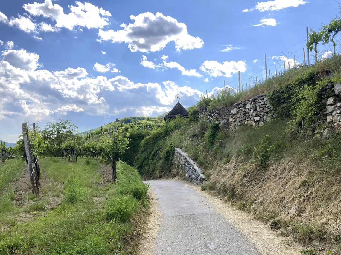 Mit dem Rad durch die Wachau