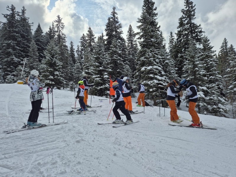 Vereinsmeisterschaft