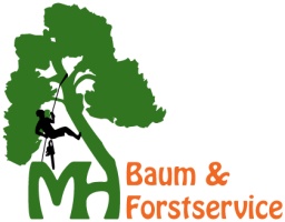 Baum & Forstservice